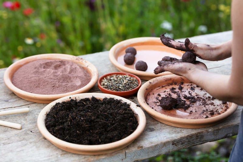 Mix Your Seed With Sand For Even Coverage