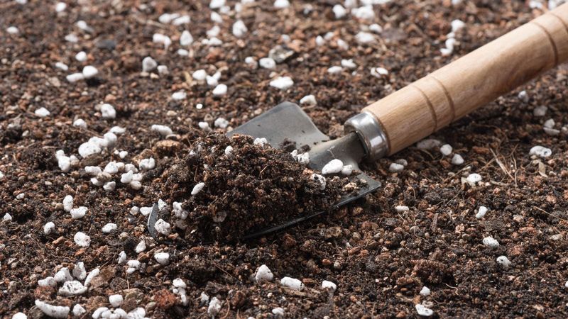 The Potting Mix Gives The First Clue