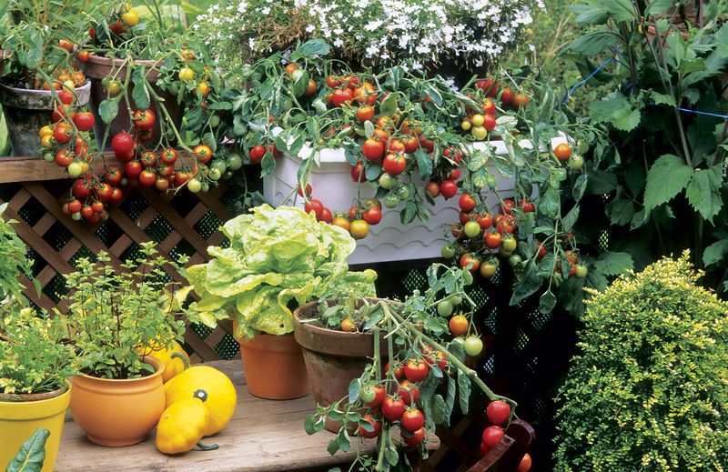 Potential Grocery Value, Not A Promise