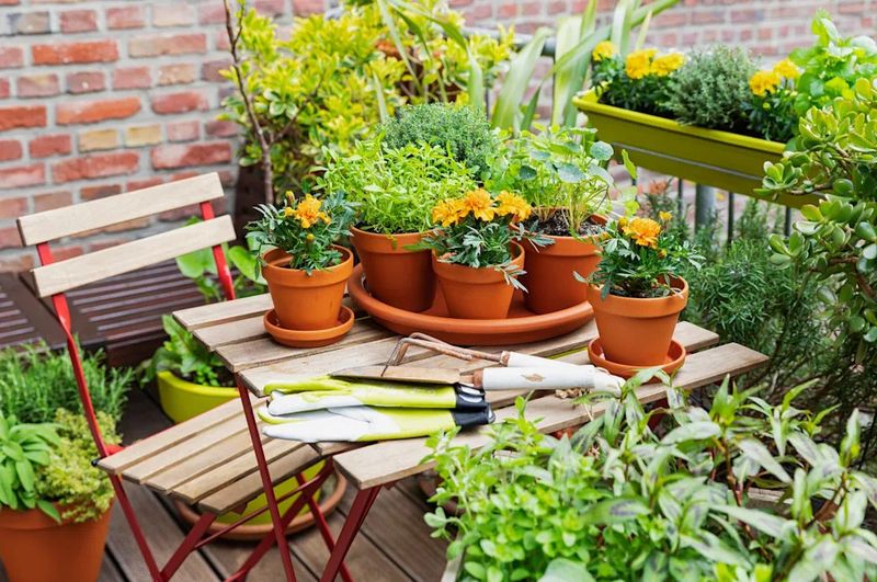 A Small Green Place Can Still Hold You