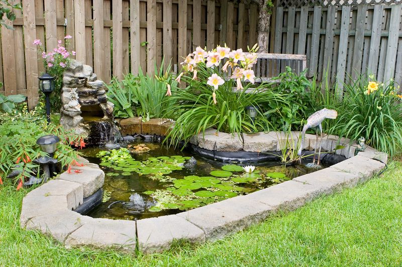 Water Features Are Dragonfly Nursery Schools