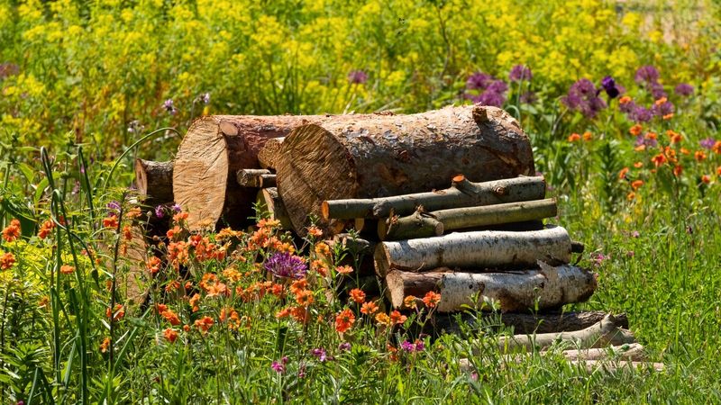 Messiness Is Not the Evidence—Habitat Is