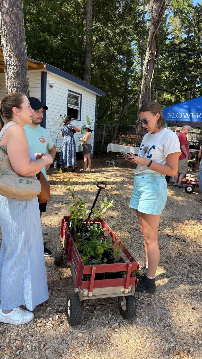 Flower Of Carolina Brings Entomologists To Carrboro