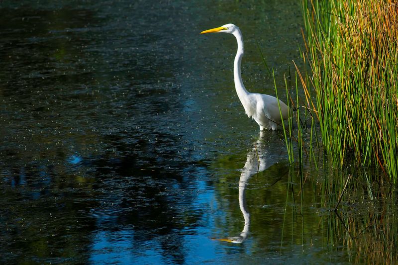 A Visit Is A Clue, Not A Water Test