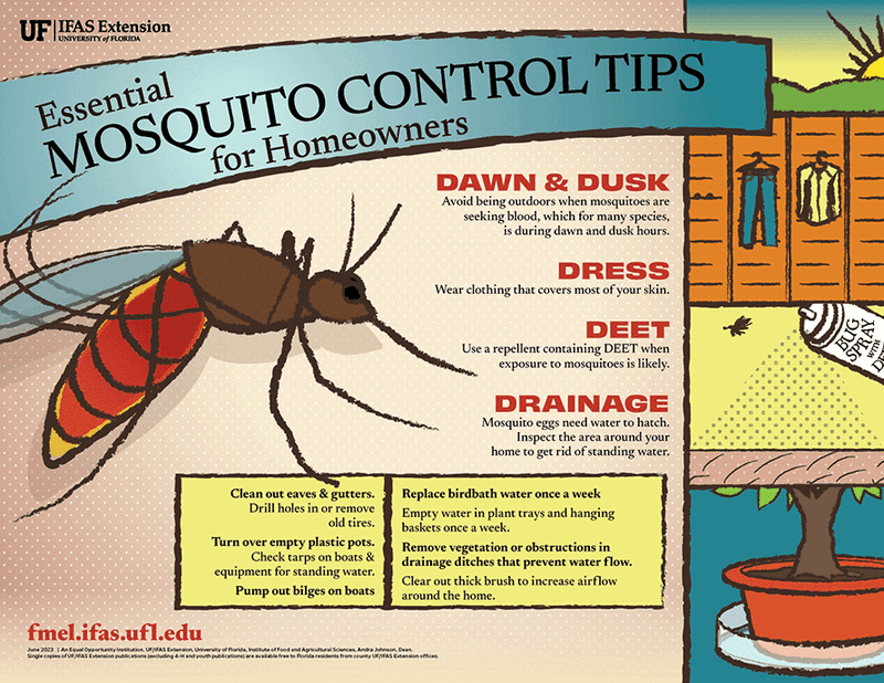 Dragonflies Help, But They Do Not Control Mosquitoes