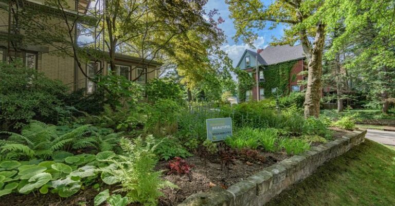 These Pennsylvania Native Trees Stay Small Enough For The Tightest Front Yard