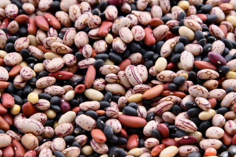 Five Old-Fashioned Beans Your Grandparents Grew That Taste Nothing Like The Canned Kind
