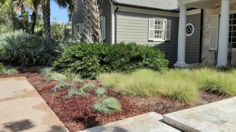 The Right Way To Swap A Florida St. Augustine Lawn For A Native Ground Cover