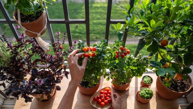 You Do Not Need A Big Yard To Start Saving Real Money On Groceries
