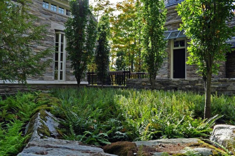 North Carolina Gardeners Are Replacing Dead Lawn Patches With These Native Ground Covers Instead