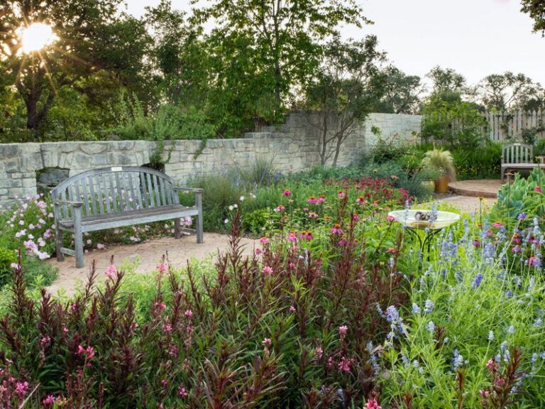 These Native Texas Borders Look Better Than Lantana In Every Single Season