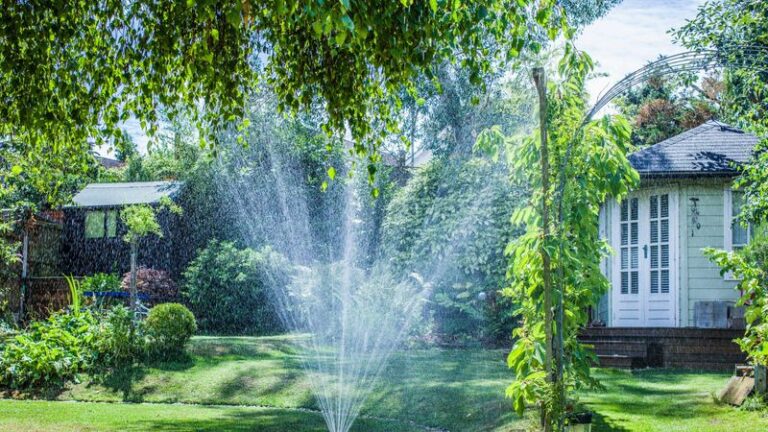 The Worst Time Of Day To Water Your Garden Quietly Wastes Money And Invites Disease