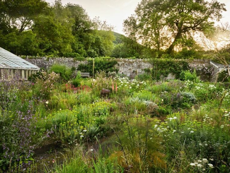 Your Garden Being A Little Messy Is Not Neglect, It Is The Sign It Is Actually Alive