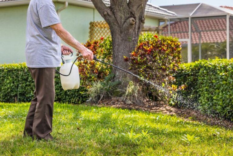 Why North Carolina Homeowners Keep Spritzing Vinegar Around The Yard All Summer