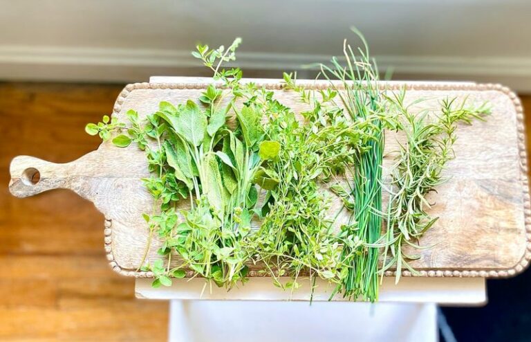 8 Texas Herbs You Get In The Ground Now For A Loaded Fall Kitchen