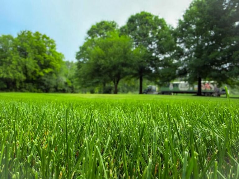 A Thunderstorm Feeds Your Lawn Free Nitrogen That No Sprinkler You Own Can Ever Match