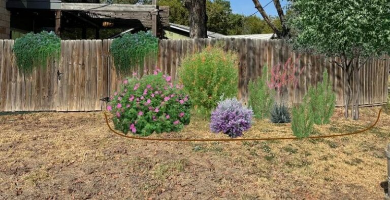 The Native Texas Plants Homeowners Grow Along Fence Lines Instead Of Crape Myrtles